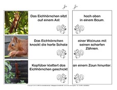 Eichhörnchen-Satzteile-verbinden-einfach 9.pdf